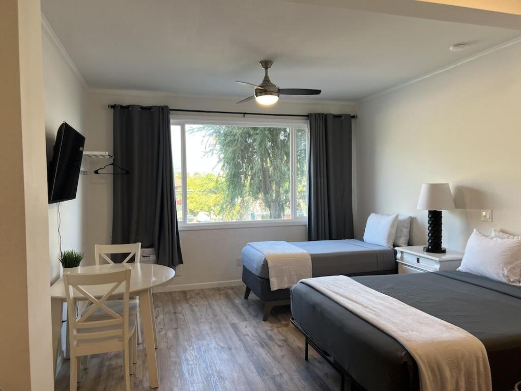 Unit 19 Maui Ohana Modern Studio Wailuku Exteriör bild